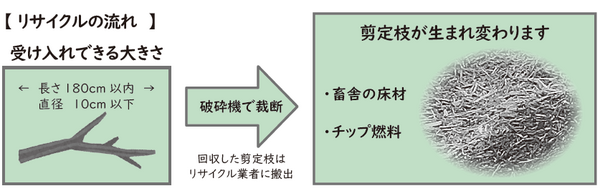 clean_senteishi_bunbetsu.png